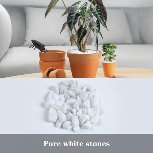5lb Polished Aquarium Silica Gravel, Decorative Pebbles Substrate for Fish Tank, Vases, All Purpose Silica Gravel for Aquarium, Fire Pits, and Landscaping, Snow White(0.16-0.24”) - color: White Small, size: 5LB