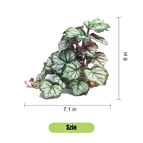 Woyrise Reptile Artificial Plants for Terrarium Decor, Amphibian Habitat Hideout Bearded Dragon Tank Decorations fit Crested Gecko Leopard Lizard Chameleon Ball Python Snake Frog - Saxifrage