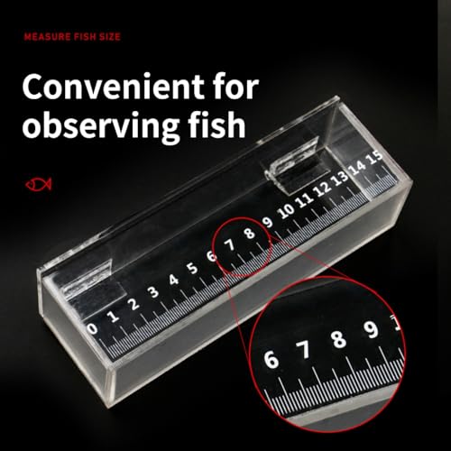 Acrylic Fish Viewing Box Multifunctional Breeding Case for Aquarium and Hatchery with Clear Scale - color: small S