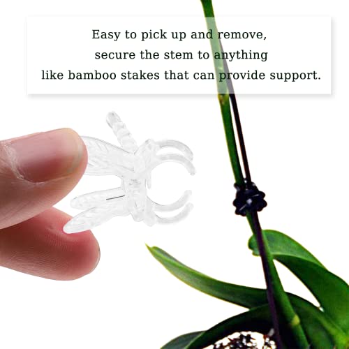 Watris Veiyi 100Pcs Plant Orchid Support, Garden Dragonfly Orchid Clips, Portable Cute Flower Vine Clips (Transparent)