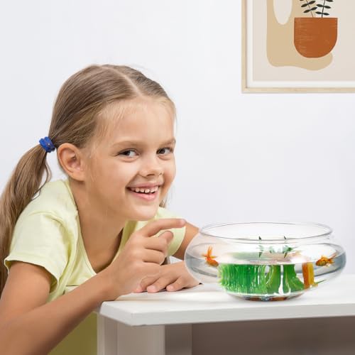 Toddmomy Transparent Aquarium Tank 9.52 Inch Desktop Betta Fish Bowl for Home and Office Decor with Hydroponic Plants and Aquatic Pets Display