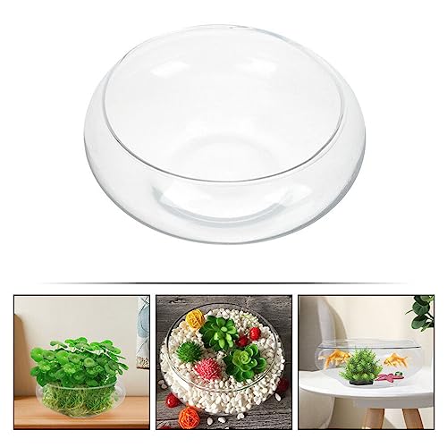 VOSAREA Glass Vase Bowl Glass Bubble Bowl Terrarium Succulent Planter Air Plants Hydroponic Display Floating Candles Clear Bubble Fish Aquatic Plant Pot Daffodil Pot (9.82X9.82X3.93in)