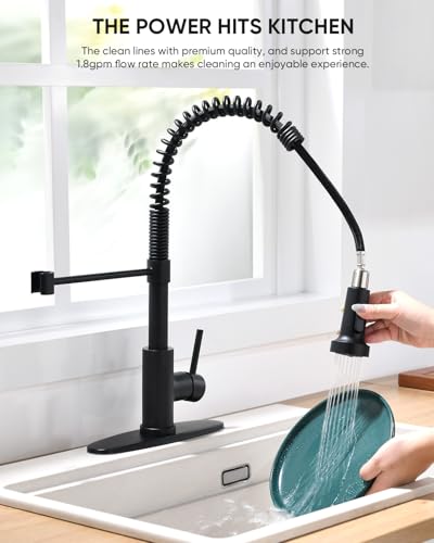 Black Kitchen Faucet with Pull Down Sprayer Stainless Steel Commercial Single Handle Classic Spring Pull Out Kitchen Sink Faucet for Pot Filler Farmhouse Camper Bar Laundry Room 866080R - color: B - Black