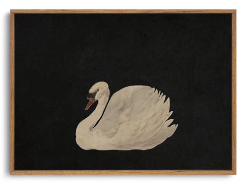 OIQArtOIQ Vintage Framed Wall Art Moody Grace Swan Canvas Art Prints Rustic Farmhouse Pictures Wall Decor Modern Cottagecore Paintings Artwork For Bedroom Kitchen Bathroom Office Living Room - color: Elegant Swan, size: 12x16 in