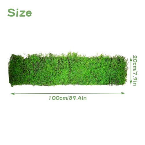 Terrarium Moss Background 7.9 x 39 Inch, Reptile Backdrop Wall Decor and Artificial Moss Reptile Amphibian Cage Decoration for Lizard Bearded Dragon Snake Frog Chameleon Leopard Gecko Tortoise