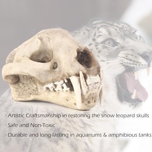 Aquarium Décor Cave Decorations Fish Hideout Betta Tarantula Reptile Snake for Terrarium Ornament Dinosaur Animal Skull Large Bones Halloween - color: Leopard