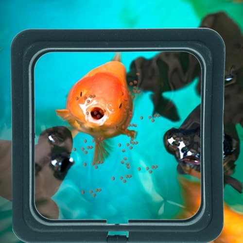 Mikikit 4pcs Reusable Fish Feeding Rings Aquarium Feeder Rings Floating Fish Food Corral for Tank Feeding Tropical