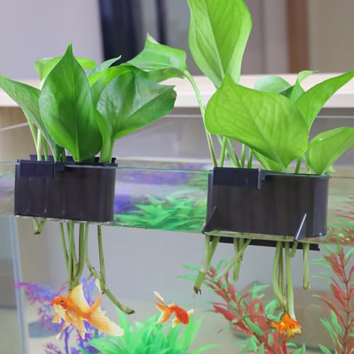 Aquarium Plant Holder，Plastic Fish Tank Plant Holder，Hanging Aquarium Planter Cup for Fish Tank Live Plants - color: Short