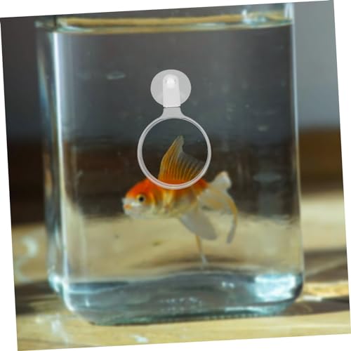 Aquarium Glass Cup Multifunctional Viewer for Small Fish Plants and -Landscapes for Detailed Observation Fish Tanks