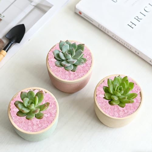 Kaiyuan Dynasty 460g Rose Quartz Crystal Chips Bulk, Pink Tumbled Irregular Stones, Decorative Pebbles for Aquarium, Fish Tank, Vase Filler, DIY Crafts & Indoor Succulent Plants - color: Pink, size: 1LB