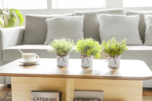 Mkono Fake Plants in Farmhouse Galvanized Metal Pots Table Centerpiece Rustic Home Decor, 3 Pack Potted Artificial Plants Faux Eucalyptus for Shelf Indoor Dining Room Office - color: White, size: 3 inch