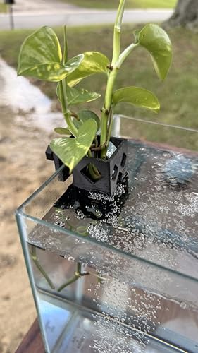 Aquarium Plant Holder for Standard Rimless Fish Tanks The Cage 3D Printed - Pothos Holder - Stemmed Plant Holder