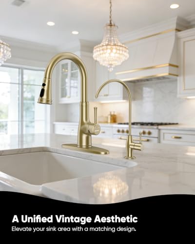 WEWE Vintage Drinking Water Faucet, Lead-Free Stainless Steel Kitchen Water Filter Faucet for Reverse Osmosis System, Non-Air Gap RO Beverage Faucet, Gold - color: Gold, style: Antique