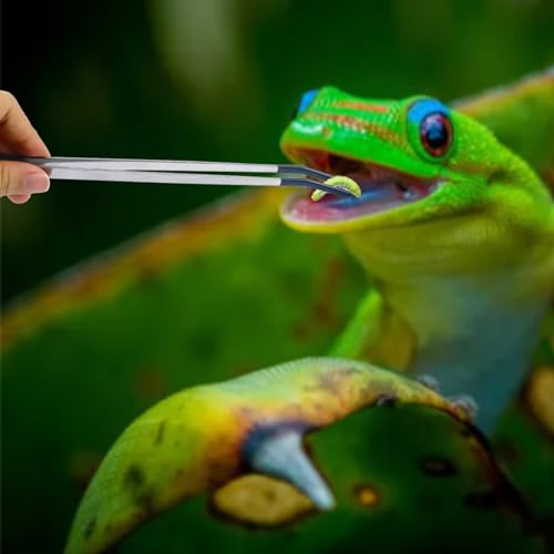 2Pcs Reptile Feeding Tong with Rubber Tip Aquarium Tweezers Stainless Steel Straight Curved Feeding Tong Long Handle Terrarium Feeder Tool for Tank Lizards Bearded Dragon Spider Snake - size: 10Inch
