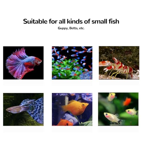 J-star Extra Large Fish Breeder Box for Aquarium Tank, Acrylic Breeding Box for Guppy/Betta/Shrimp/Clownfish, Baby Fish Hatchery & Isolation Tank - size: X-Large