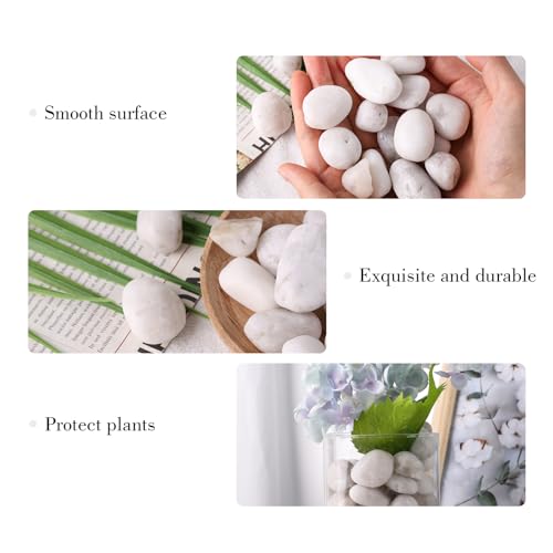 DomeStar 2.7lb White Rocks for Landscaping, White Garden Rocks Polished Pebbles Garden Stones, Pebbles for Indoor, Walkways, Yard, Plants, Aquarium Fish Tank,Vase Filler Decor