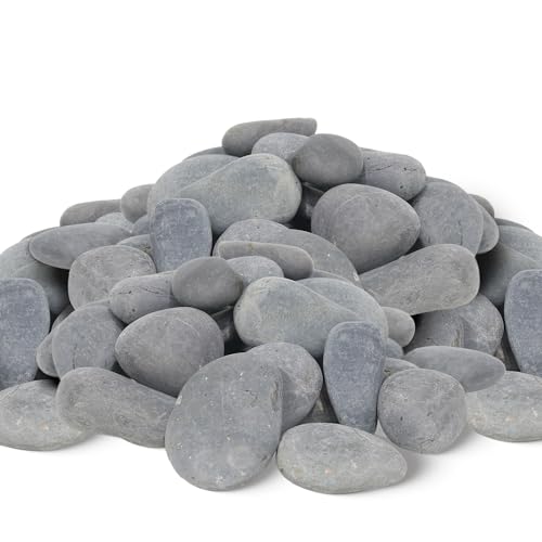 Quibbay 45 LB Mexican Beach Pebbles, 2-3 Inch Natural River Rocks, Premium Pebbles for Garden and Landscape Design, Decorative Stones for Fish Tank Flower Pots Water Fountains Pathways Backyard, Grey - size: 45 Pounds, 2-3 Inch