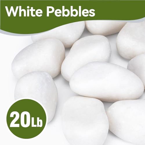 Pulovin 20 lbs White Rocks for Landscaping, 2-3 Inch Large White Rocks for Plants, Decorative Polished Stones for Garden, Walkways, Yard, Plants Pots, Vases, Crafts - color: White 2-3 Inch