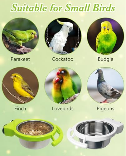 BNOSDM Hanging Stainless Steel Bird Bowls 4 PCS Bird Feeding Dish Cups with Perch Stand Birds Food Container Food and Water Bowls with Spoon for Budgie Cockatoo Finch Lovebirds Pigeons (Green) - color: 4 Pcs Green