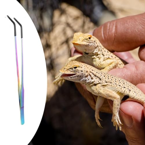 Baoblaze Reptile Feeding Tongs with Black Silicone Tip Long Planting Tweezers for Aquarium for Gecko Bearded Dragon Tank Aquascaping, Curved - color: Curved