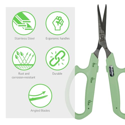 Saboten Stainless Steel Angled Blade Trimming Scissors Green PT-13 160mm Precision Gardening Bonsai and Floral Shears Made in Japan - color: Green, size: Stainless Steel Angled Blade