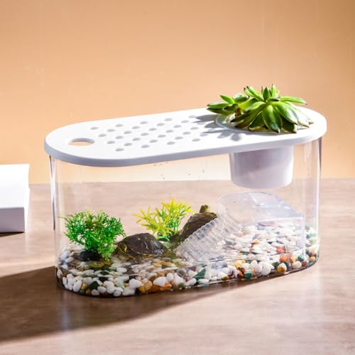 Small Turtle Tank with Basking Platform, Decor Stones and Water Grass, Aquarium Habitat with Plant Holder - color: White