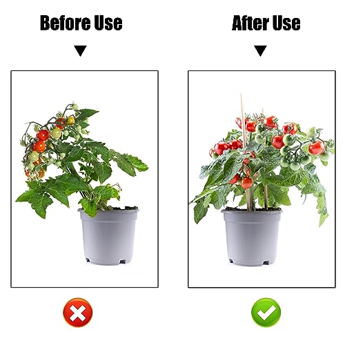 AccEncyc 50 Pcs Large Plant Clips Orchid Clips Plant Orchid Support Clips Flower Vine Clips for Supporting Stems Vines Stalks Climbing Plants Grow Upright - size: 50Pcs Large