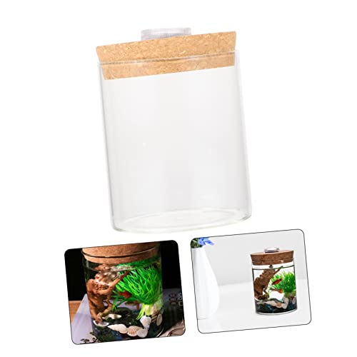 Ciieeo 1Pc Mini Glass Ecosystem Bottle with LED Light Creative DIY Micro Landscape Terrarium Holder for Fish Plants and Flowers Decorative Glass Jar for Home - size: 11X8.2X8.20cm