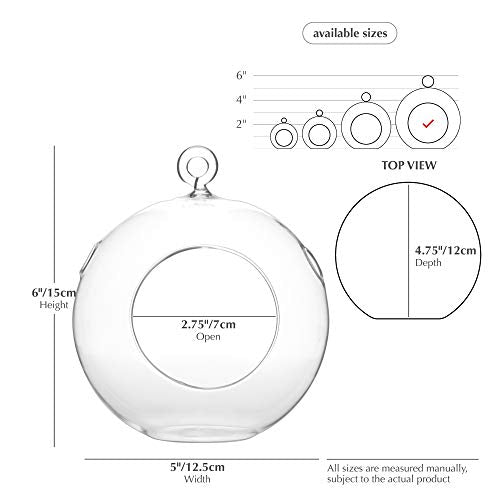 WGV Hanging Terrarium Globe, Width 5", Height 6", DIY Air Succulent Planter, Clear Glass Vase Orb with Flat Bottom, Candle Holder for Windowsill Outdoor Garden Decor, 6 Pieces Bulk - size: 5" Flat Bottom