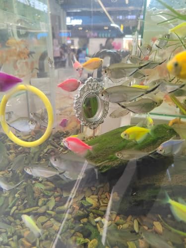 Betta Fish Enrichment Toys Ring and Mirror Floating Exercise Mirrors and Training Ring Floating Mirrors Aquarium with Feeding Rings Aquarium Accessories with Suction-Cup (Yellow) - color: Blue