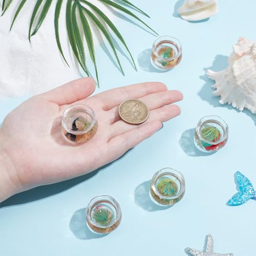 SUNNYCLUE 5Pcs 5 Styles Miniature Fish Tank Fish Bowl Plastic Simulated Round Goldfishes Grass Bowls Tanks Mini Display Decorations Accessories for Desktops Garden Scene Decors DIY Crafts Adults