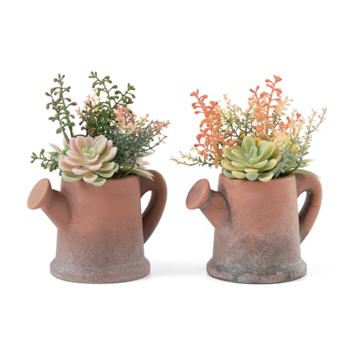 2-Pack Artificial Succulent Plants in Vintage Pots - Waterproof Fake Plants for Home Office Desk Decor - Low Maintenance Indoor Greenery for Bathroom Shelf Table - color: Succulent-c-2pcs