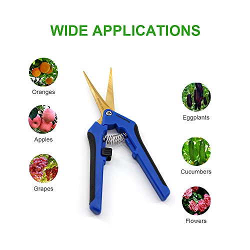 3 Packs Garden Pruning Shears with Curved Blades Trimming Scissors, Gardening Hand Pruning Snips Titanium Coated Precision Bonsai Pruning Shears, Convenient Flower Cutters(Blue) - style: Curved Blade