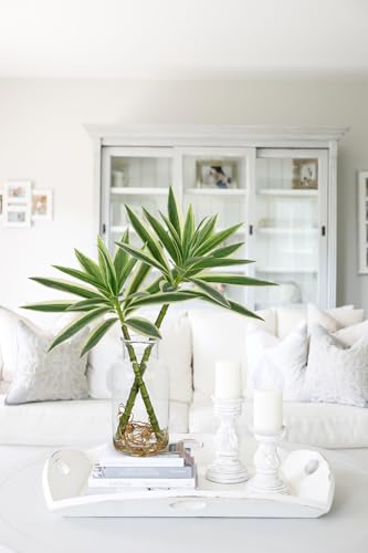 Artificial Plants Stems in Glass Vase with Faux Water,Fake Silk Plant Dracaena Leaves for Centerpiece Table Decorations Farmhouse Wedding Home Greenery Decor (Green and White) - color: White and Green#2