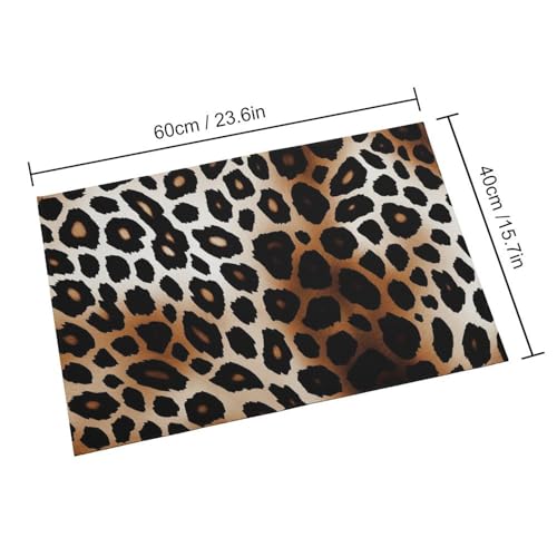 Outdoor Door Mat 15.7" X 23.6" Non-Slip Doormat Leopard Print Front Door Mats Quick Dry Welcome Mats for Outdoor Indoor Entrance Mat Home Decor Floor Mats for Patio - color: Leopard Print