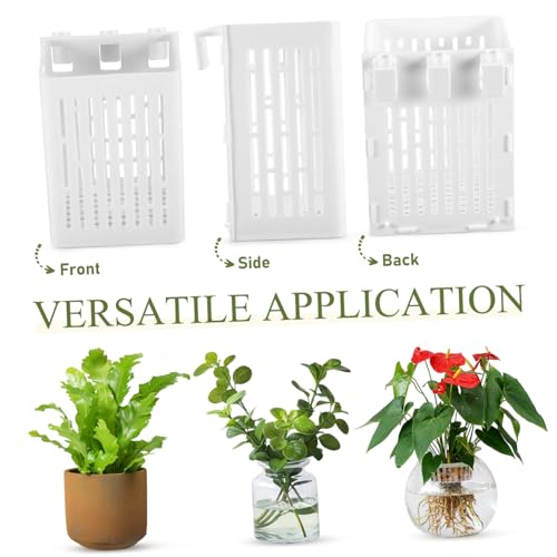 BESPORTBLE 2pcs Aquarium Plant Holder Baskets White Aquatic Plant Cup Fish Tank Holder Aquarium Supplies