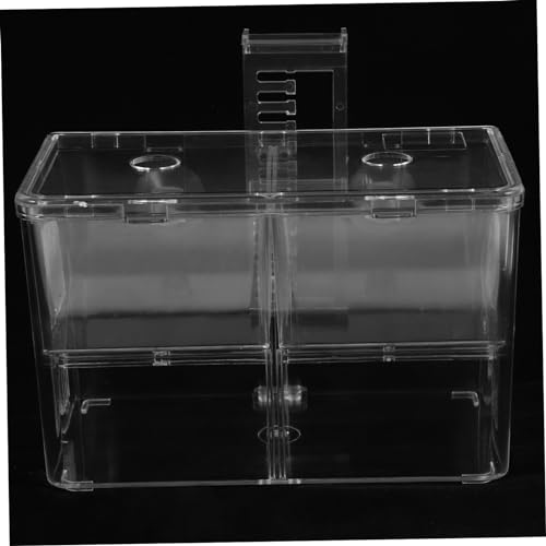 Healifty Transparent Fish Tank Incubator Box with Suction Cup Aquarium Nursery Divider for Fry and Shrimp Isolation Hard Material Hatchery for Tropical Fish Breeding and Egg Protection