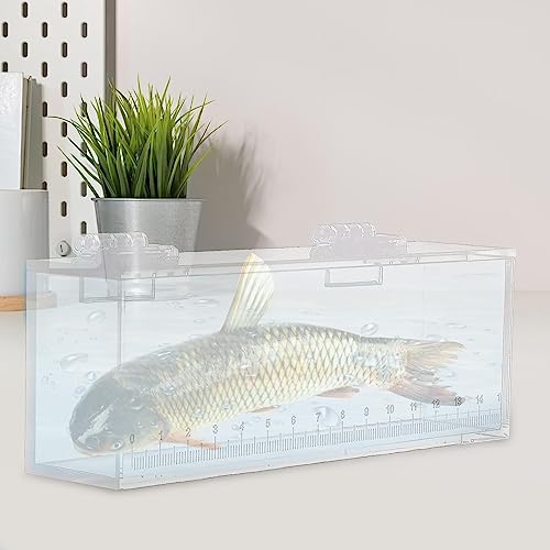 MagiDeal Fish Viewing Box, Fishing Hatching Incubator, Acrylic Fish Egg Breeding Case, Aquarium Tank Isolation Breeder, L - size: L