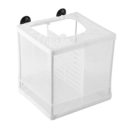 Fish, Breeder, Easy Installation, Suction Cup Design, Isolation Fish Breeding Net Suitable for Fish Breeding