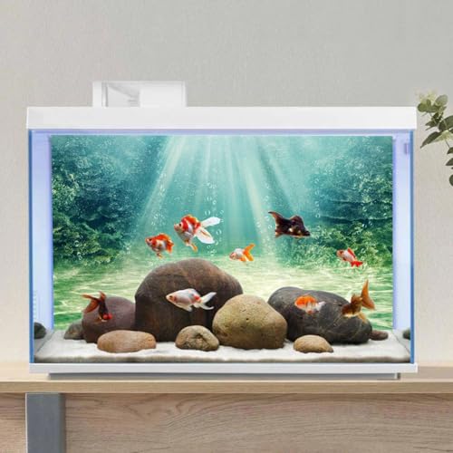 AWERT 36x20 inches Aquarium Background Aquatic Plant Bubble Underwater Ocean Floor Fish Tank Background - size: 36x20in/90x50cm