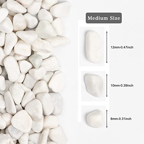 5lbs White Natural River Rocks, Polished Pebbles for Plants Garden, 0.3-0.8 inch Decorative White Stones, Ideal for Fish Tank, Vases, Crafting, Home Decor and Garden Landscaping Rocks,White - size: 5 Pounds, style: Snow White