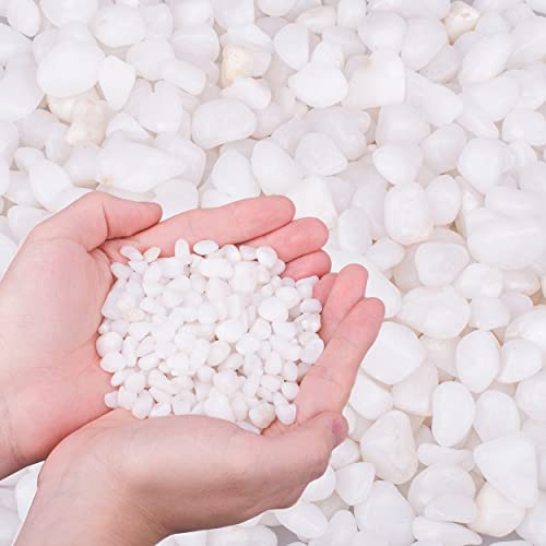 12.0 LB White Polished Pebbles 3/8", Natural Decorative Smooth River Rocks, Gravel Size White Small Pebble Stone for Succulent, Bonsai, Potted Plants, Landscaping, Fairy Garden, Aquarium - size: 12.0 LB