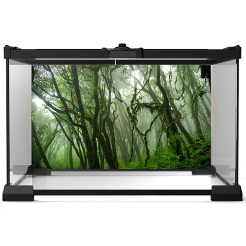 Tropical Fish Tank Background Jungle Reptile Terrarium Background Forest with Moss Reptile Tank Background Tropical Rainforest Jungle Enchanted Forest Woods Old Tree Reptile Habitat Background 24x12in - color: Foggy Green, size: 24(W)x12(H)inches/ 60(W)*3