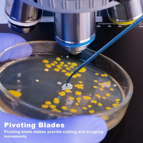 Biologix 200PCS Cell Culture Scraper, Multi-Position 24cm Handle Cell Scraper, Sterile, Individually Packaged, Polyethylene, Non-Pyrogenic - size: 24.3cm length