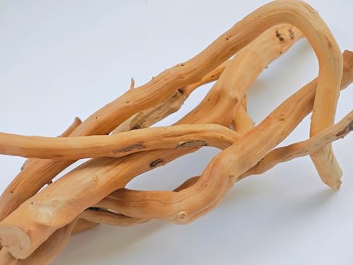 Azil Natural Driftwood Root Mix (5 pcs) – 100% Natural Driftwood for Aquarium, Reptiles, Terrariums, Vivariums, Aquascaping & Planted Tanks (Size: 7″–10″ / 17.8–25.4 cm) - size: root mix 7'' - 10''