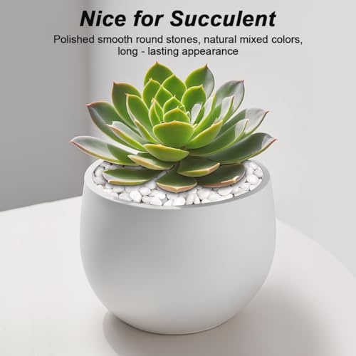 Succulent Rocks,Virekm River Rocks,Decorative Ornamental Pebbles,Garden Landscaping Stones,Gravel Filler for Home Decoration Flower Bed Fish Tank Plants Vases Succulents (1, White, 2 Pounds) - color: White, size: 2 Pounds
