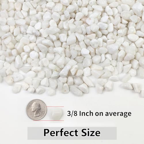 YISZM 2LB Succulent and Cactus Gravel Pebbles, 3/8 Inch Natural Decorative Polished Stones, River Rocks for Plants, Vases, Aquariums, Terrarium and Outdoor Gardening, White - color: White, size: 2 Pounds