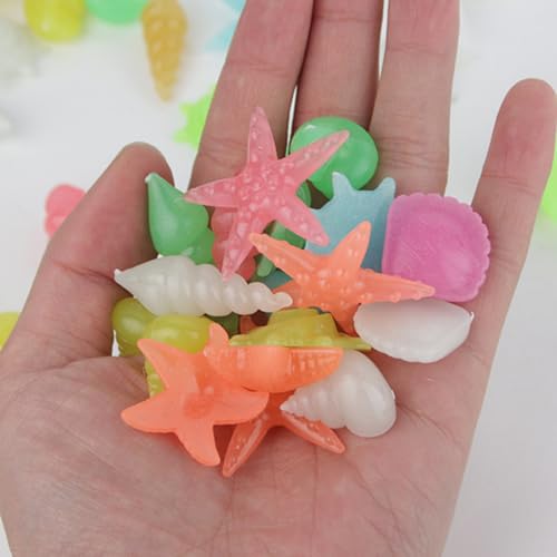 50PCS Luminous Stone, Glow in The Dark Conch Starfish,Glowing Rocks Fish Tank for Swimming Pool Aquarium Plant Pots Bonsai Walkway Driveway Garden Decoration