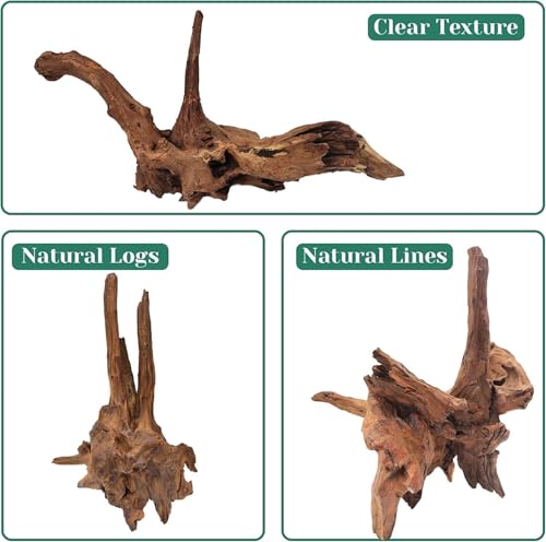 Azil Natural Driftwood 9''-12'' (2 Pieces) – Perfect Aquarium Decoration for Fish Tanks, Freshwater Aquariums, Terrariums, Aquascaping, Hardscaping, Aquatic Plants - size: driftwood 9'' - 12''