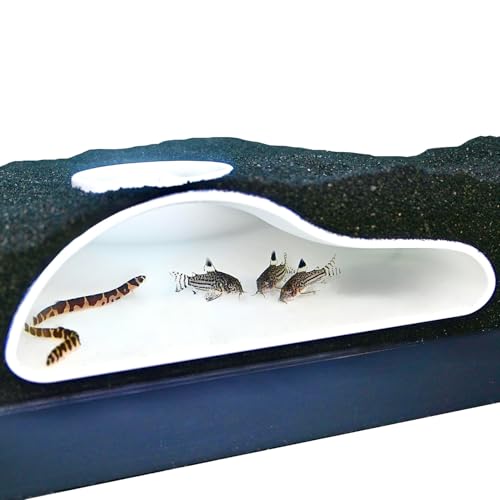 Aquarium Underground Tunnel Cave Natural Curve | Viewing Fish & Shrimp Under Gravel Tunnel | Fish Tank Decor Decoration Hideout Perfect for Corydora Catfish, Kuhli Loach, Clown Loach, Pleco (White) - color: White
